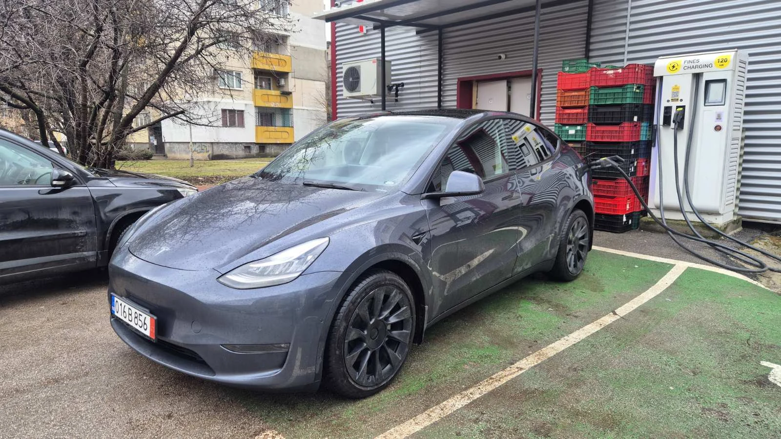 Tesla Model Y Long range 4x4 | Auto.bg — изображение 1