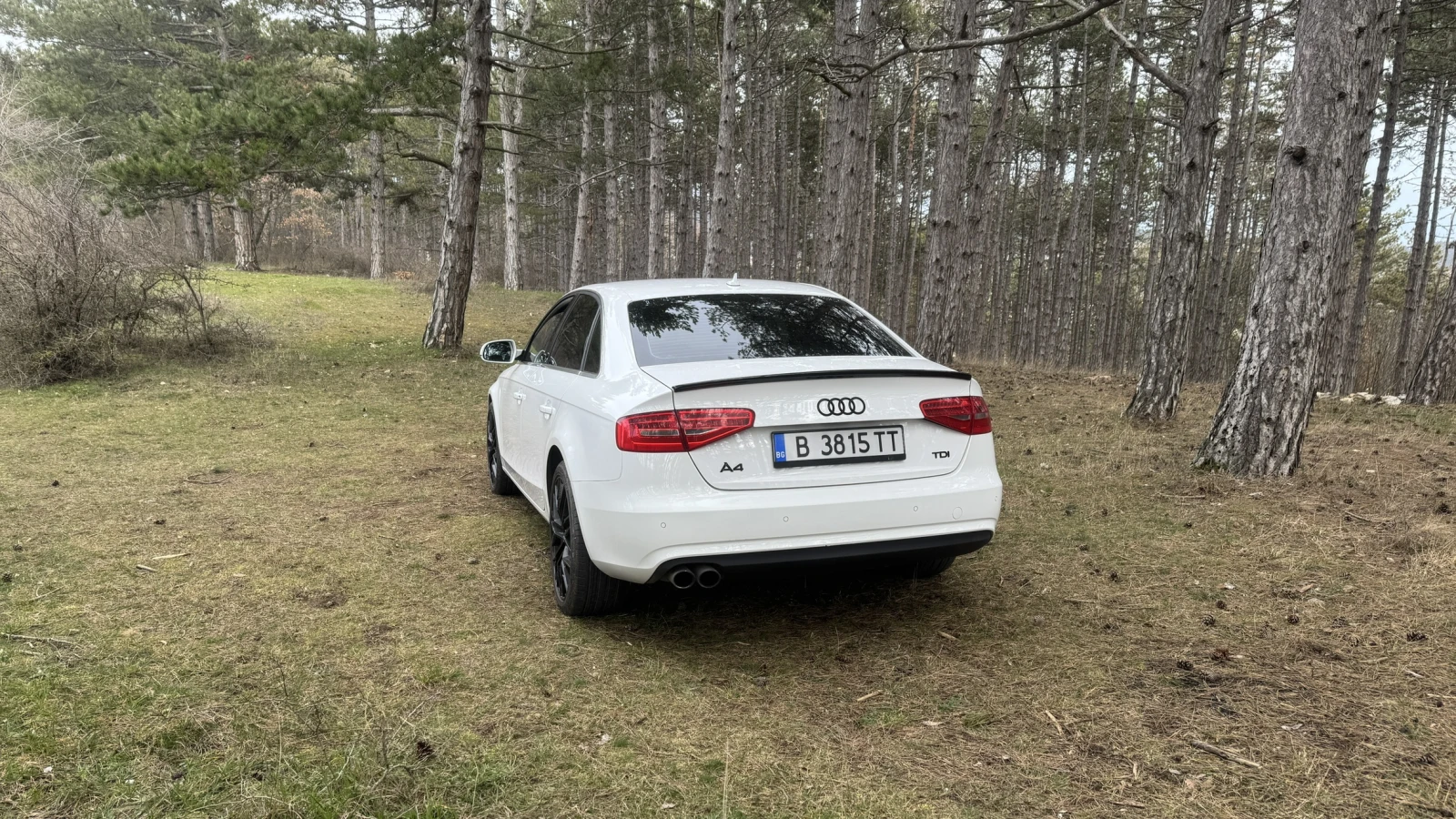 Audi A4 2.0 TDI 150 kc СПЕШНО!, снимка 4 - Автомобили и джипове - 53810700