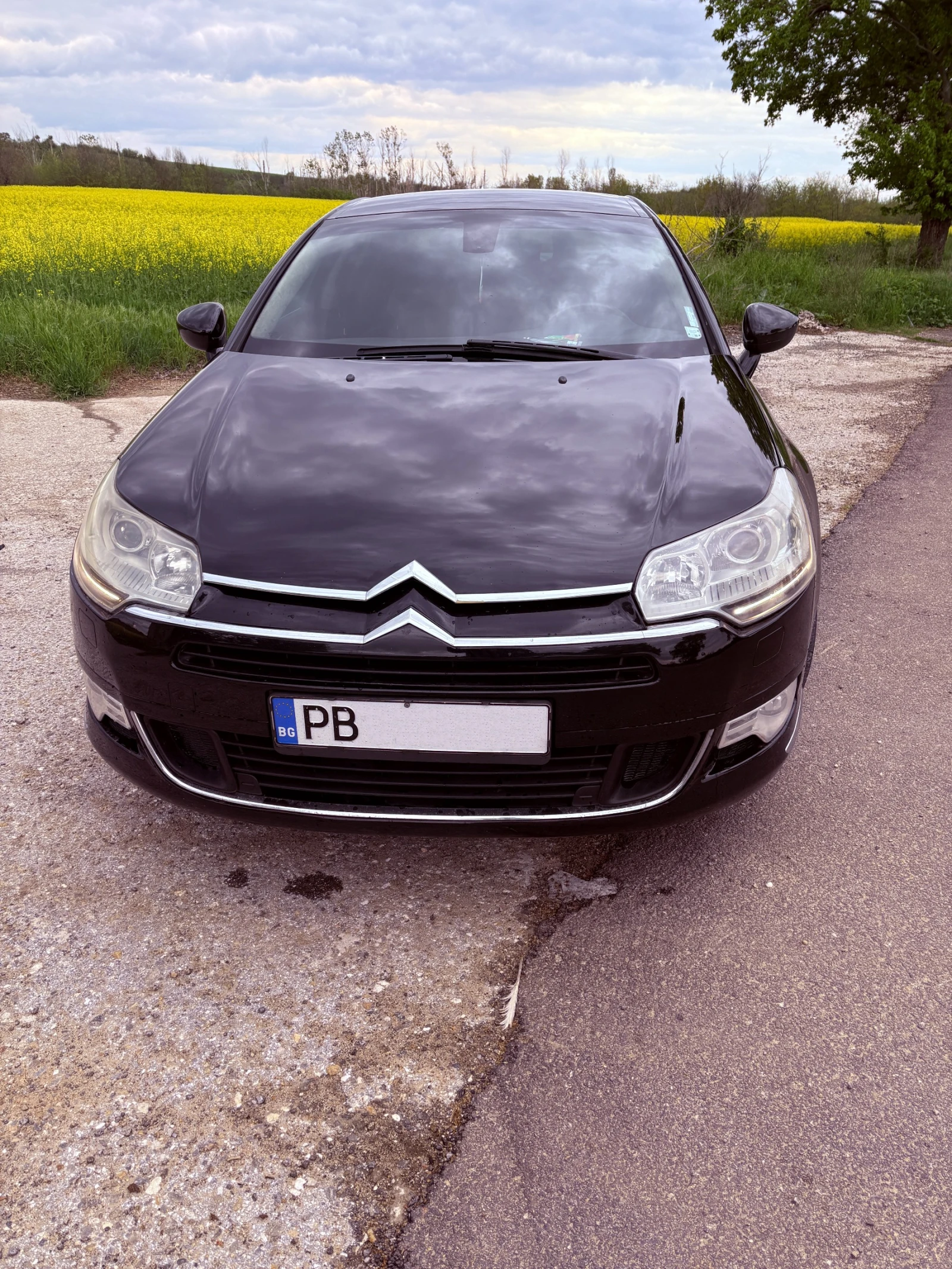 Citroen C5, снимка 8 - Автомобили и джипове - 54606733