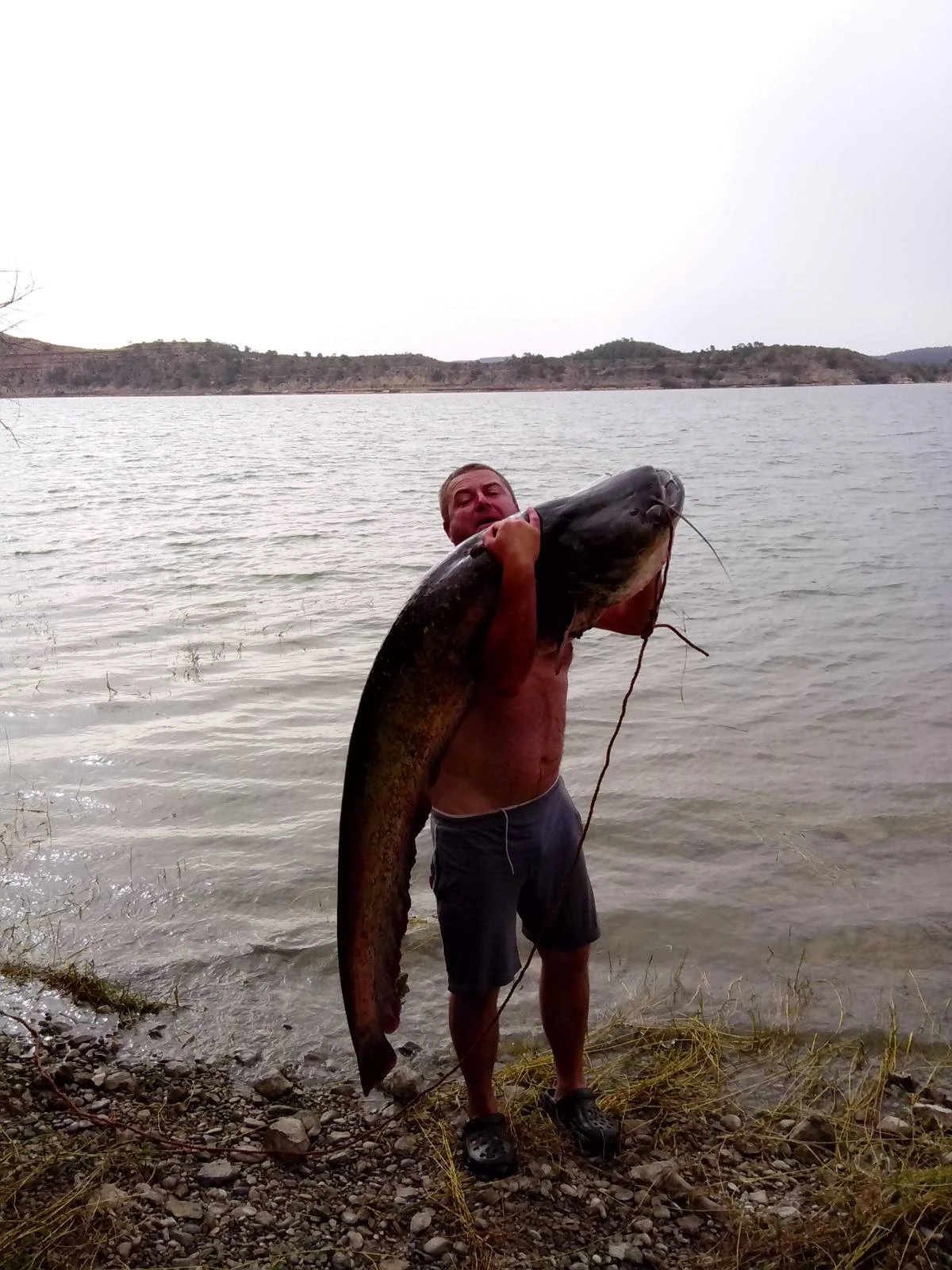   Honda Marine HONWAVE T40 AE2 | Mobile.bg   14