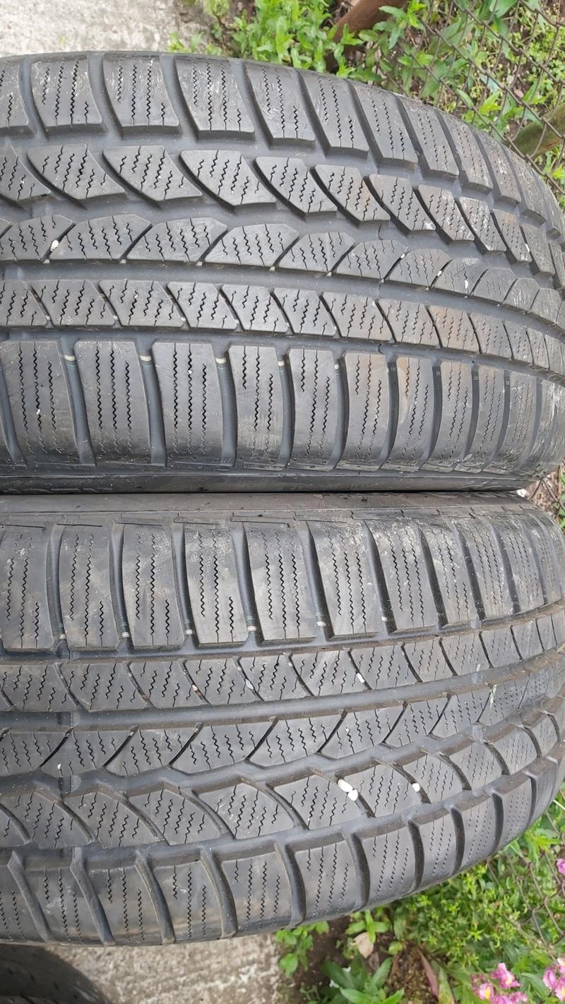 Гуми Зимни 255/50R19, снимка 1 - Гуми и джанти - 29273109