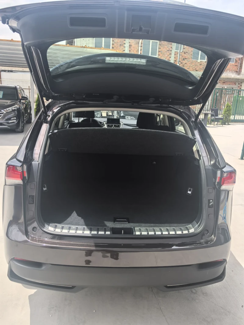 Lexus NX 300h NX300 Hybrid Executive, снимка 13 - Автомобили и джипове - 50484379
