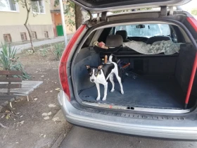 Citroen C5, снимка 12