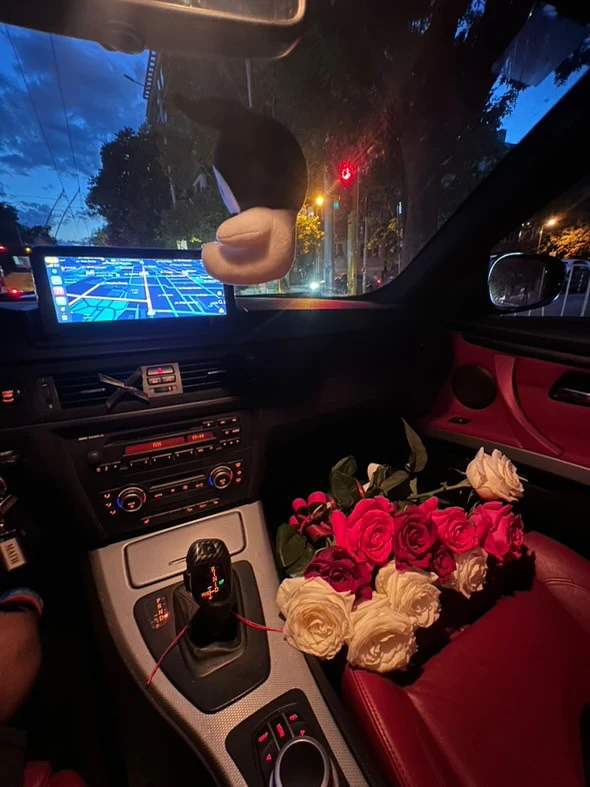 BMW 330, снимка 2 - Автомобили и джипове - 53209041