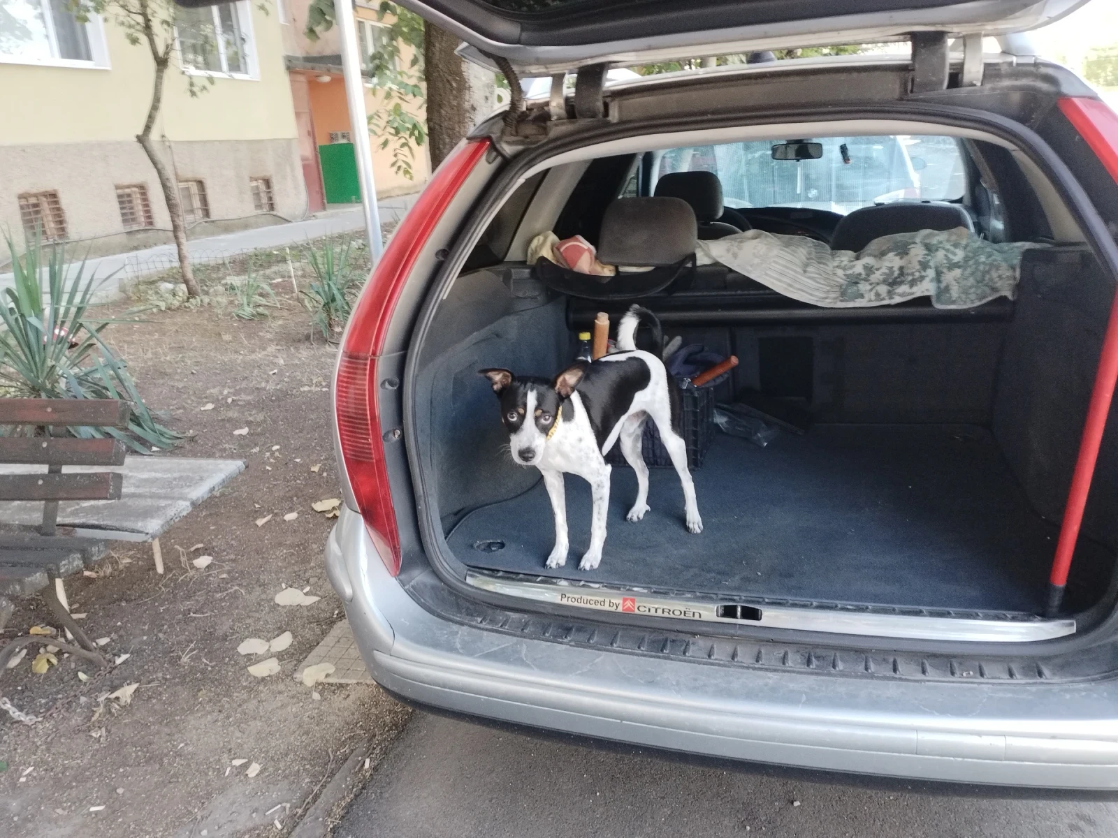 Citroen C5, снимка 12 - Автомобили и джипове - 55614375