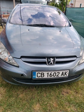     Peugeot 307