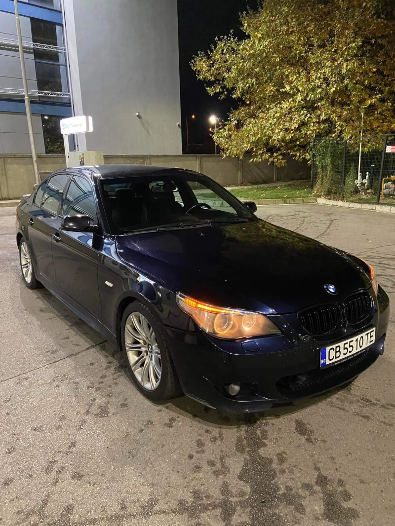 BMW 525 D, снимка 8 - Автомобили и джипове - 48418995