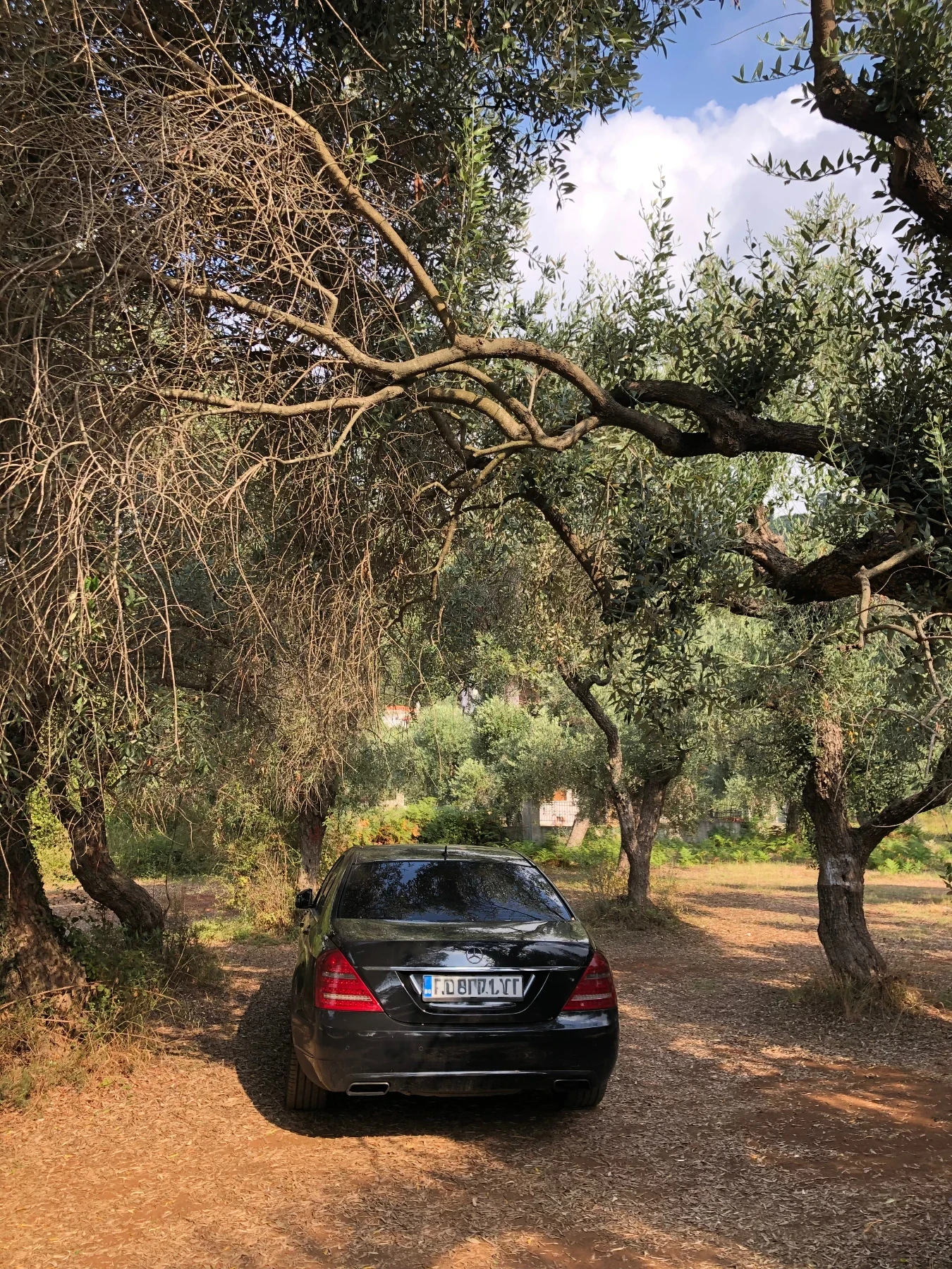 Mercedes-Benz S 350 | Mobile.bg � ����������� 2