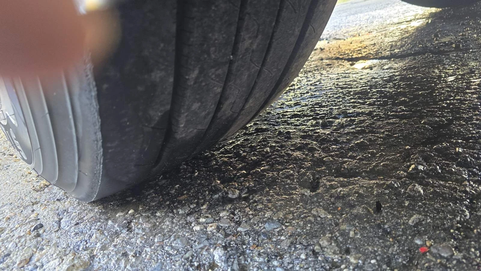  Berger ECOTRAIL /  5490 . | Mobile.bg   15