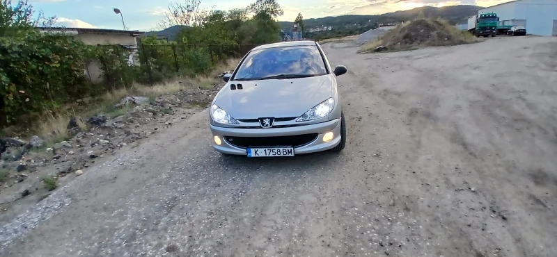 Peugeot 206, снимка 1 - Автомобили и джипове - 47231399