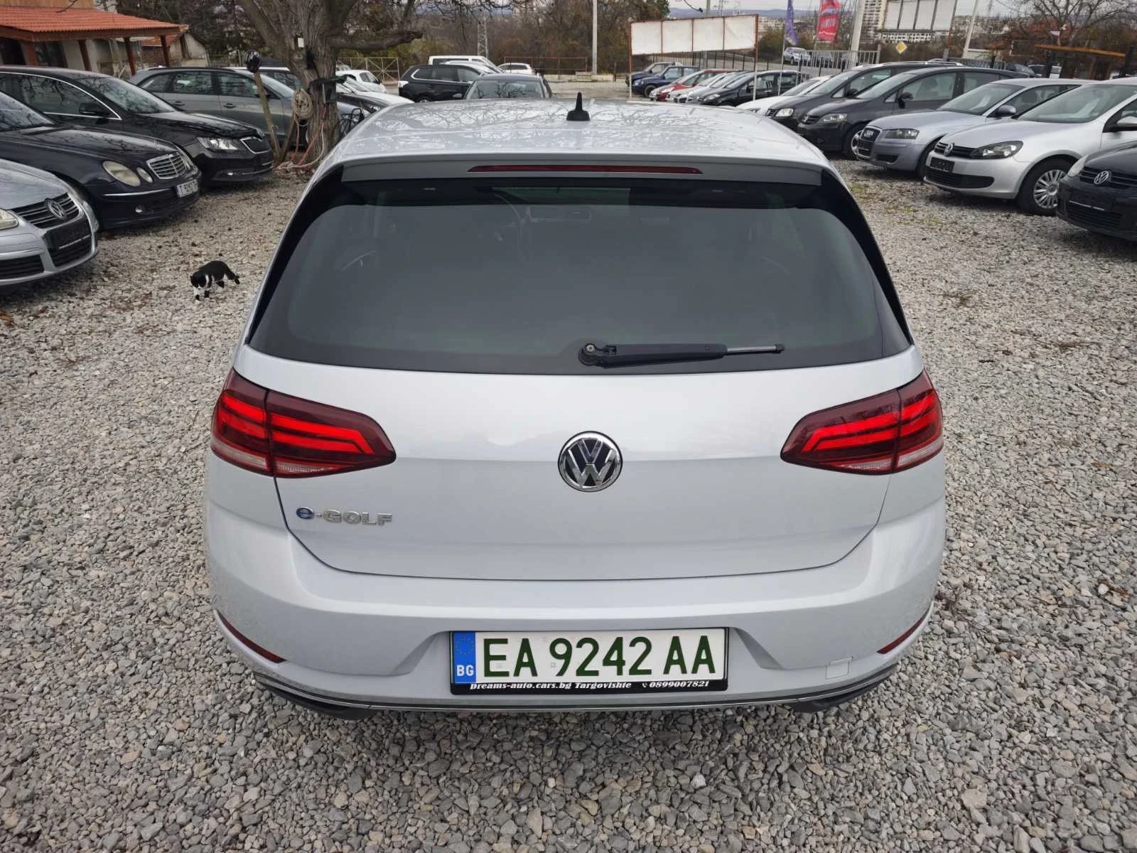 VW Golf ELECTRIC - изображение 8