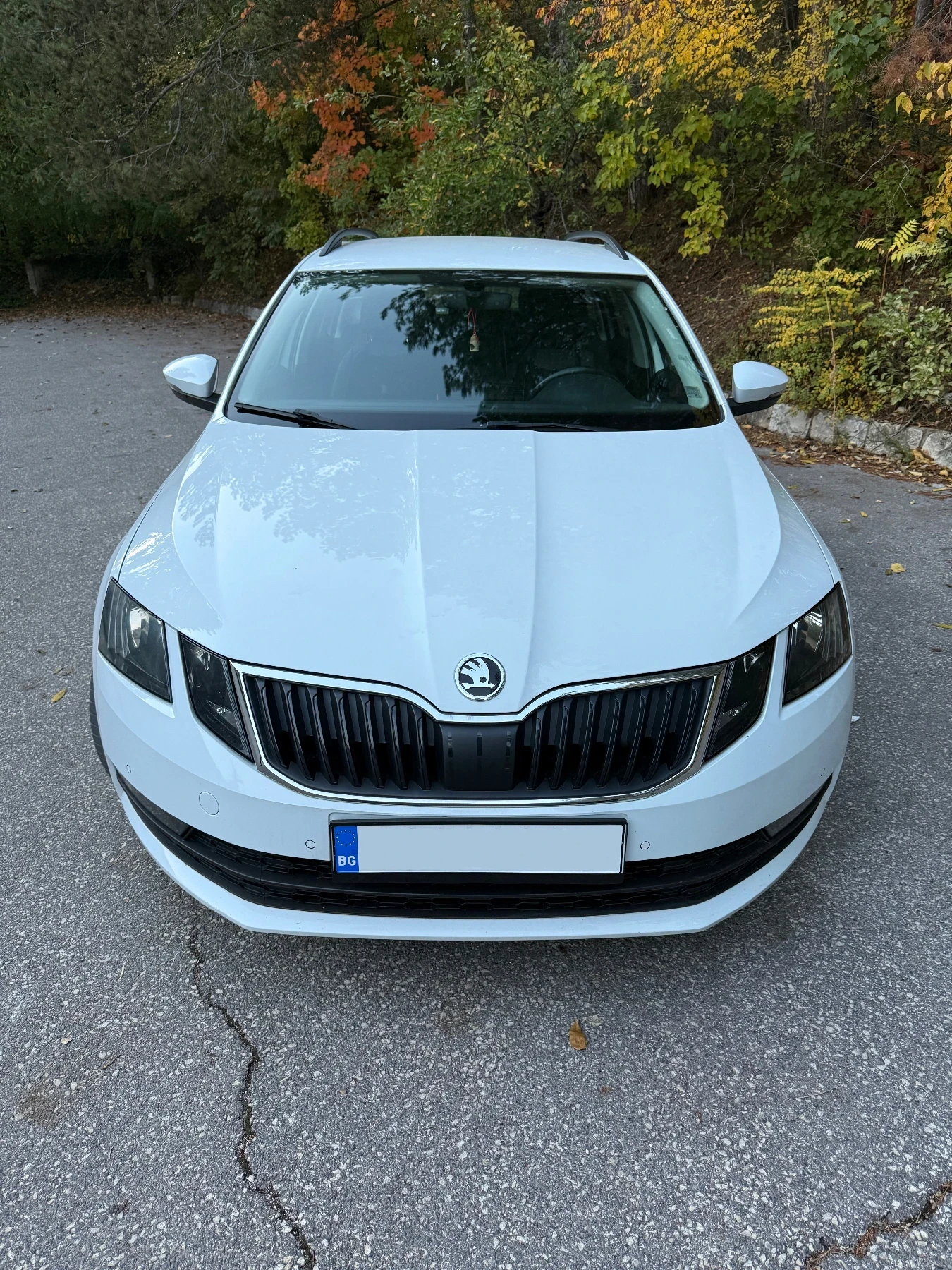 Skoda Octavia 2.0 TDI, снимка 2 - Автомобили и джипове - 56529916