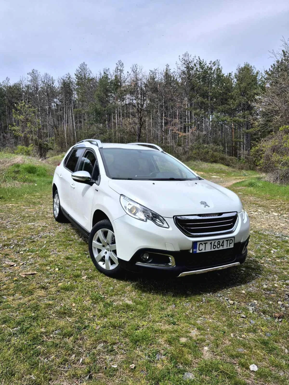 Peugeot 2008, снимка 4 - Автомобили и джипове - 55547038