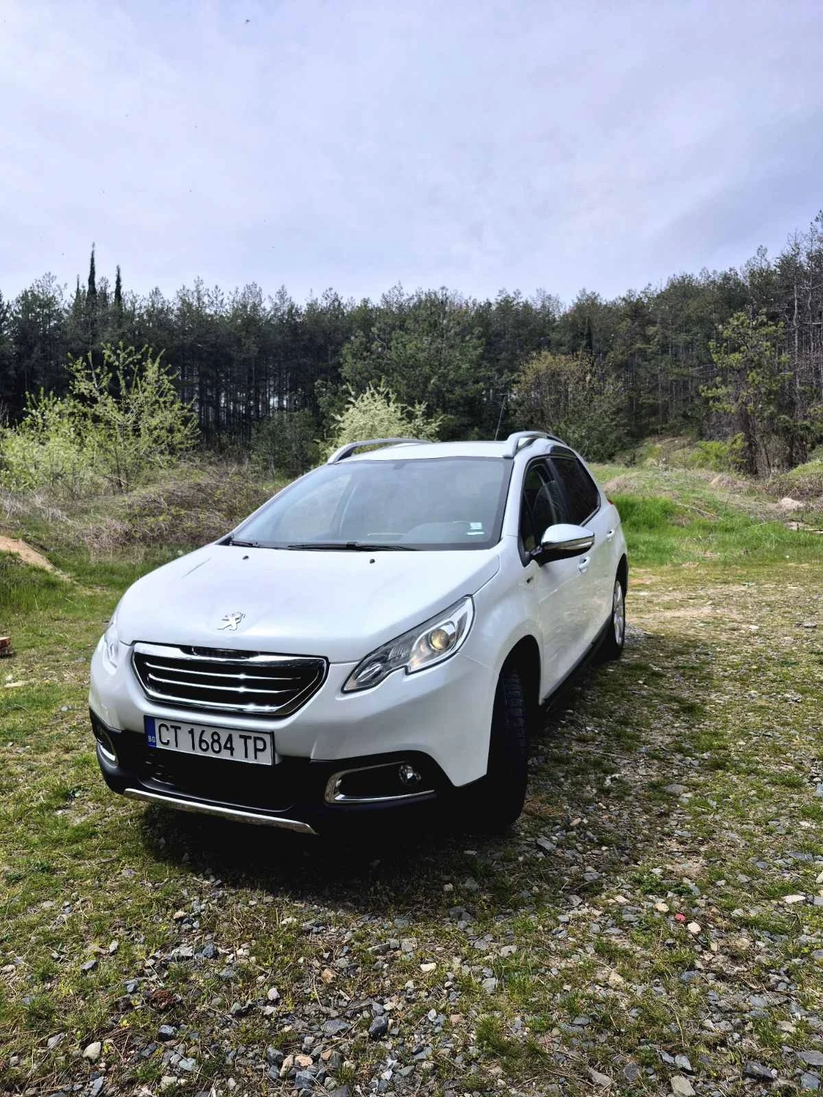 Peugeot 2008, снимка 3 - Автомобили и джипове - 55547038