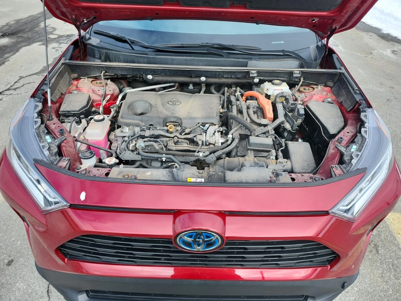 Toyota Rav4 XLE Hybrid* ��������* ������� �� ������* �������� | Mobile.bg � ����������� 15