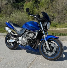  Honda Hornet