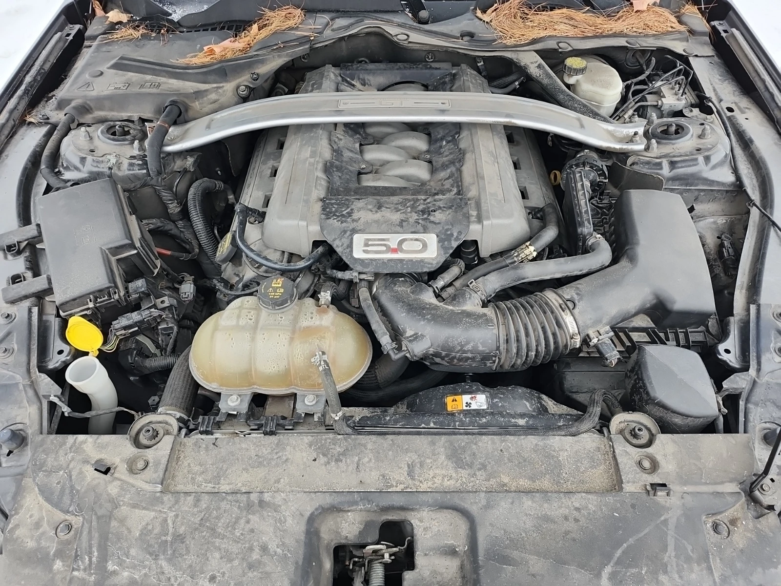 Ford Mustang GT Premium| 5.0L| RWD| CARFAX| 2 Keys|  | Mobile.bg � ����������� 13