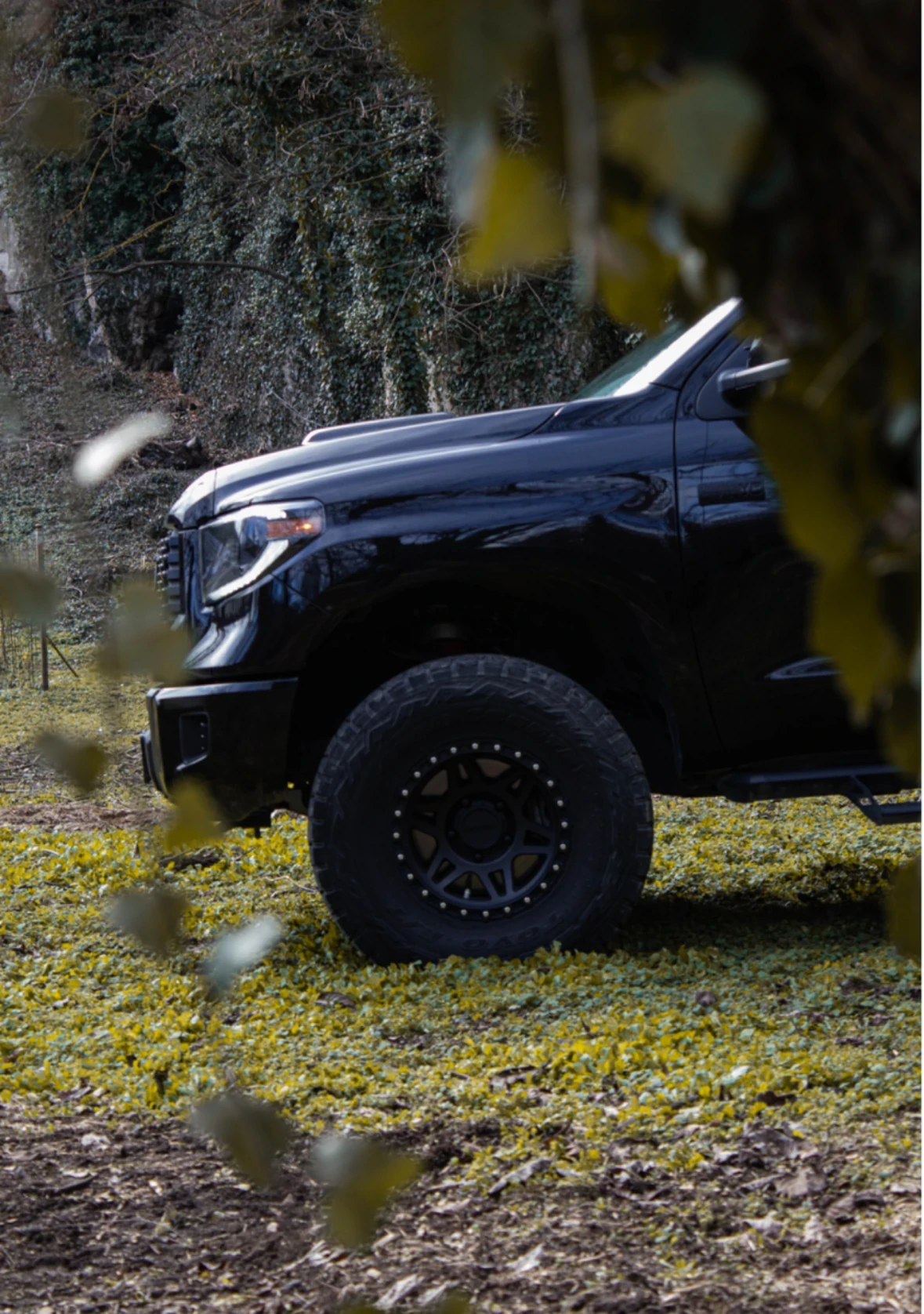 Toyota Tundra TRD PRO - изображение 5