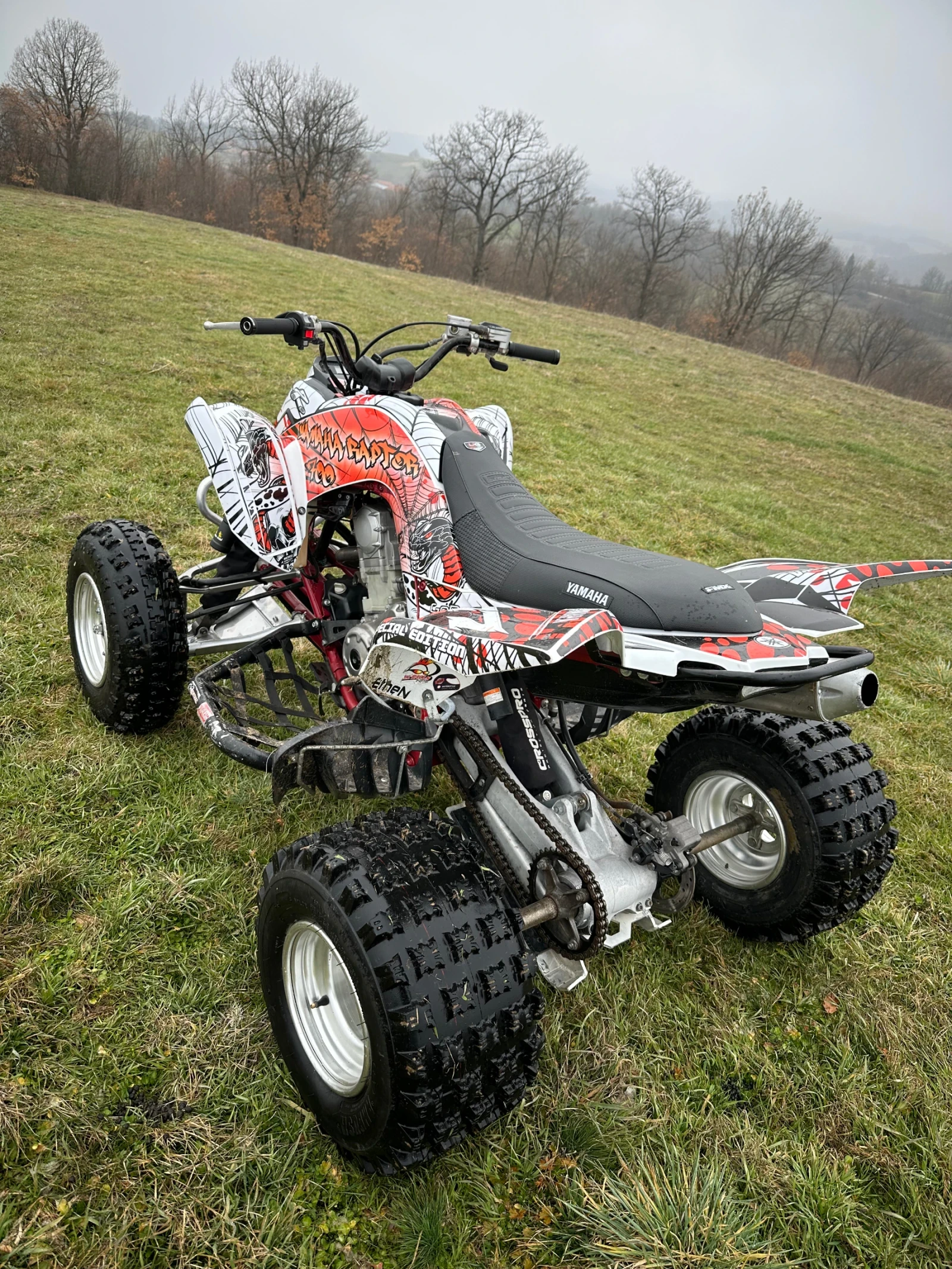 Yamaha Raptor YFM700 Special Edition  - изображение 3
