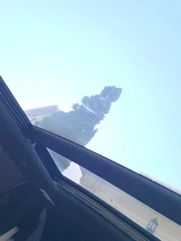 BMW X5 * 5.0i M/// XDRIVE, 445HP * CARFAX * БЕЗ ПЪРВОНАЧА, снимка 7 - Автомобили и джипове - 53222879