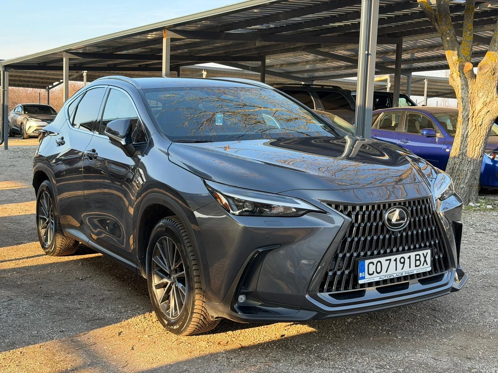 Lexus NX 450 + /4х4/360Camera/Гаранция Релакс, снимка 3 - Автомобили и джипове - 53738058