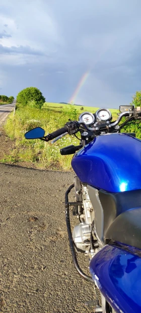 Honda Hornet | Mobile.bg    2
