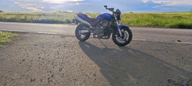  Honda Hornet