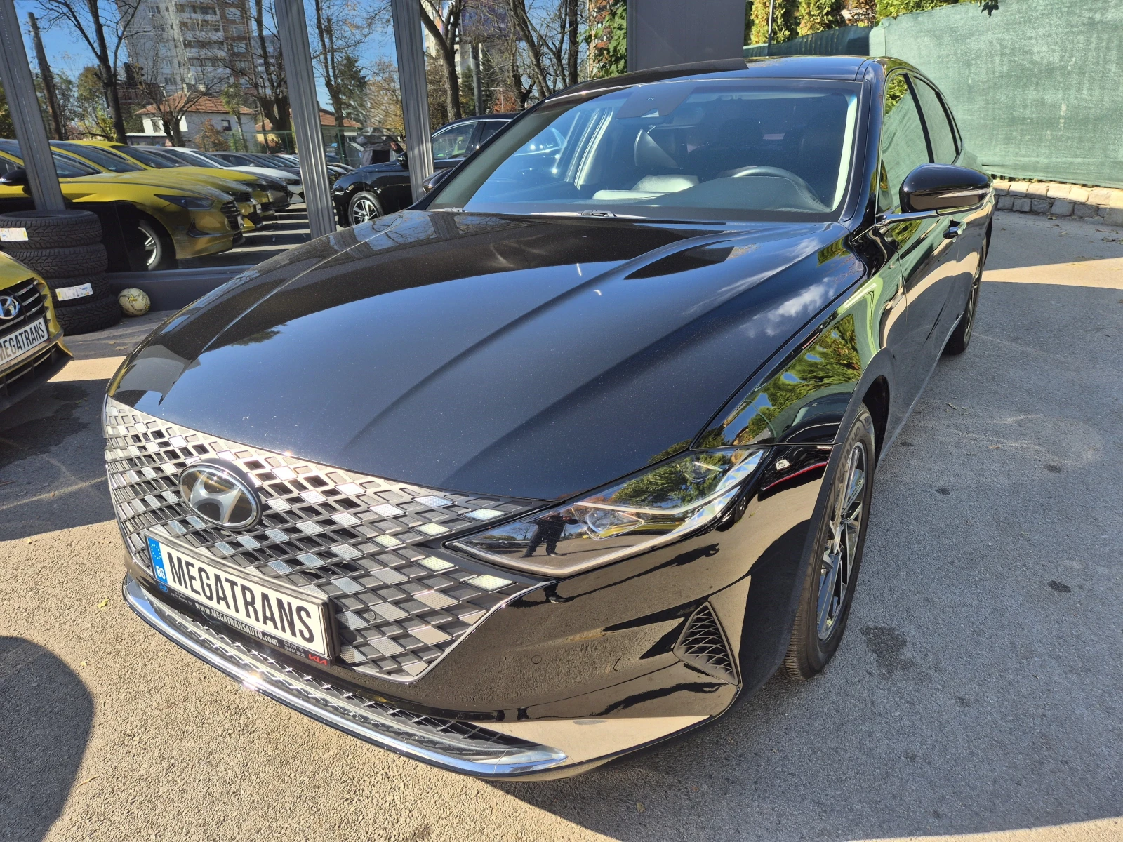 Hyundai Grandeur 3.0 V6 LPG - изображение 2