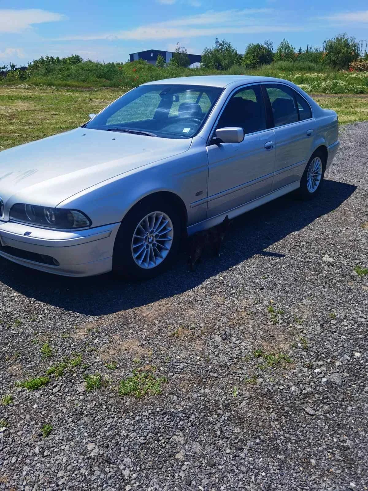 BMW 525, снимка 8 - Автомобили и джипове - 55788703