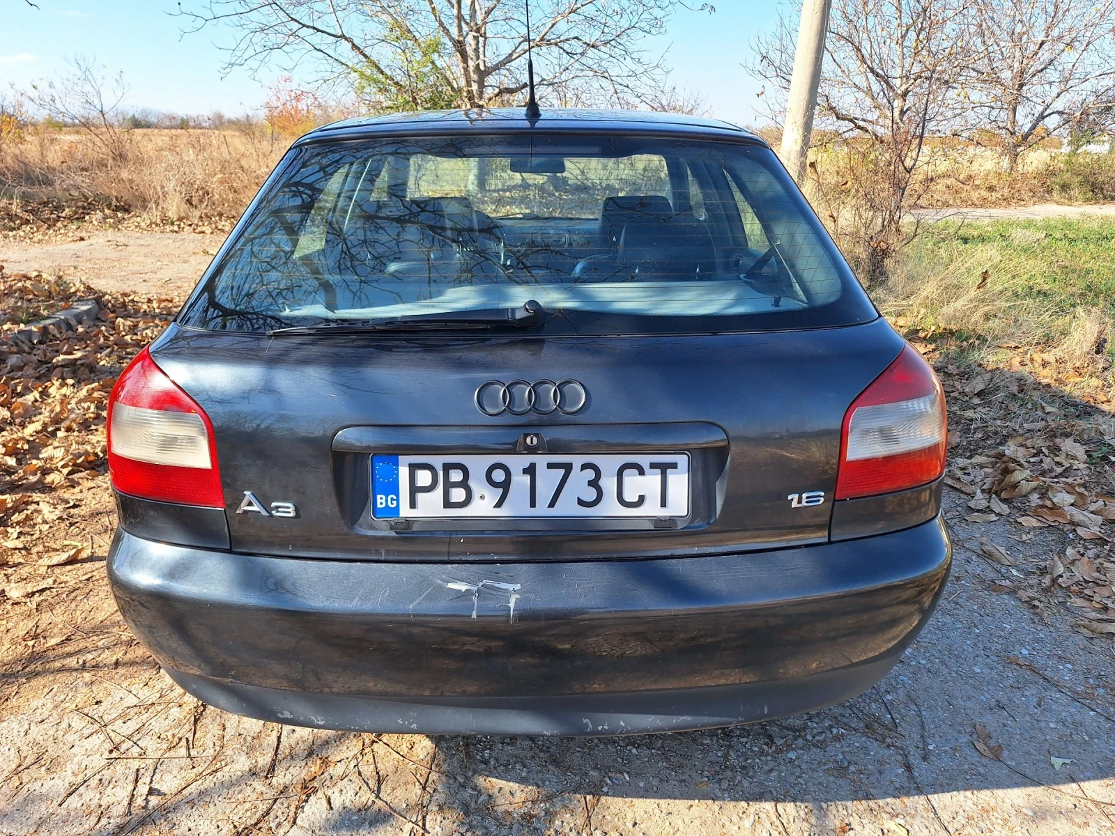 Audi A3 1.6 101 Газ/Бензин - изображение 3