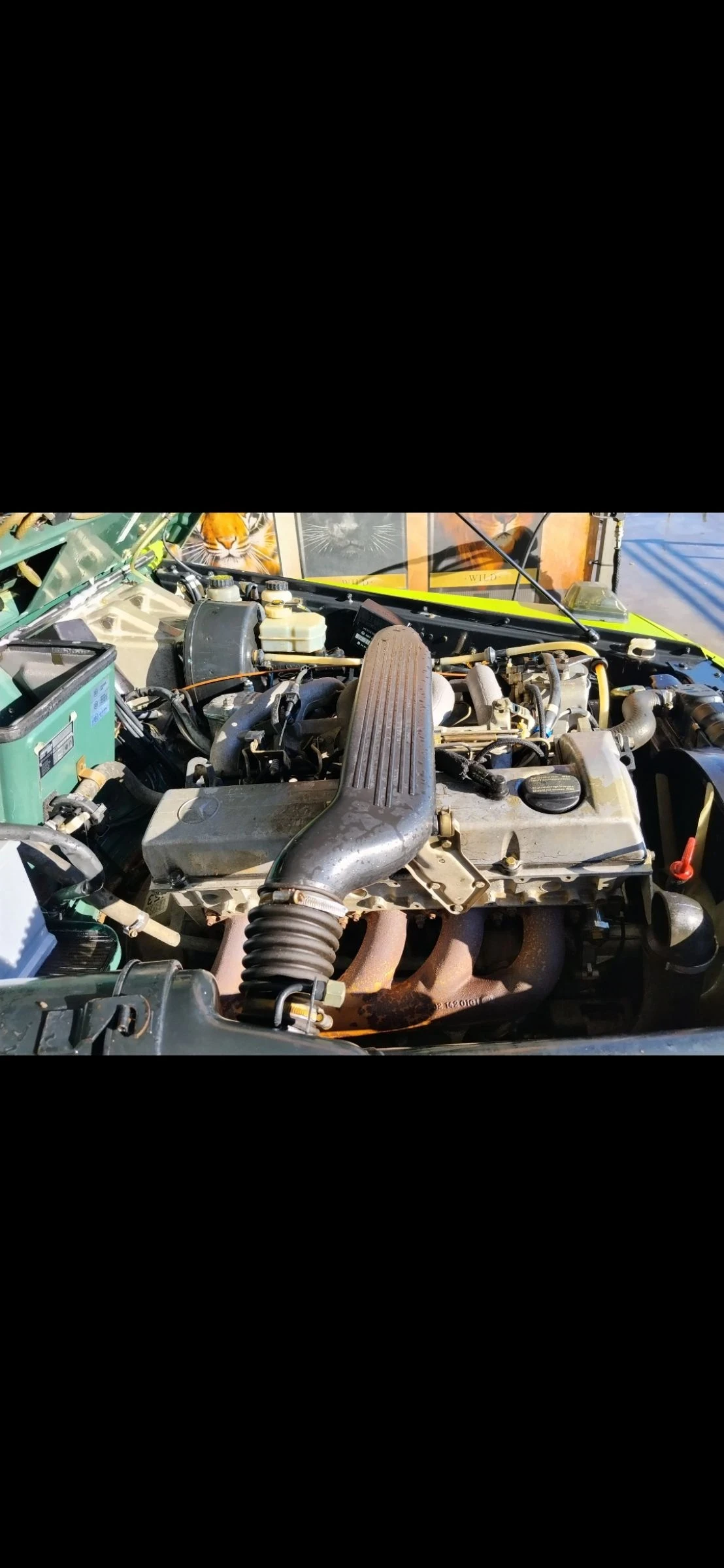 Mercedes-Benz G 290 G290, снимка 14 - Автомобили и джипове - 54618787
