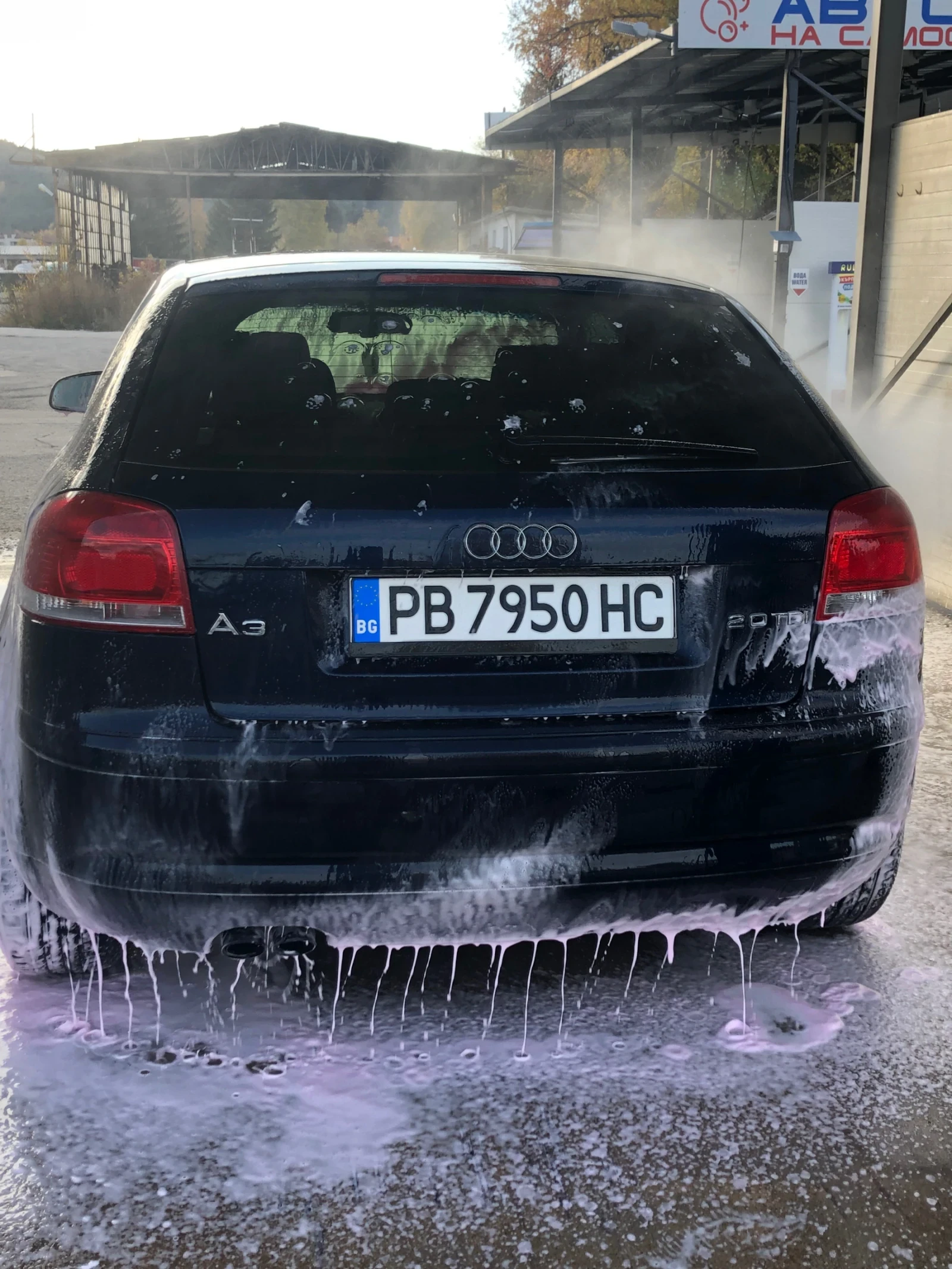 Audi A3 8P - изображение 3