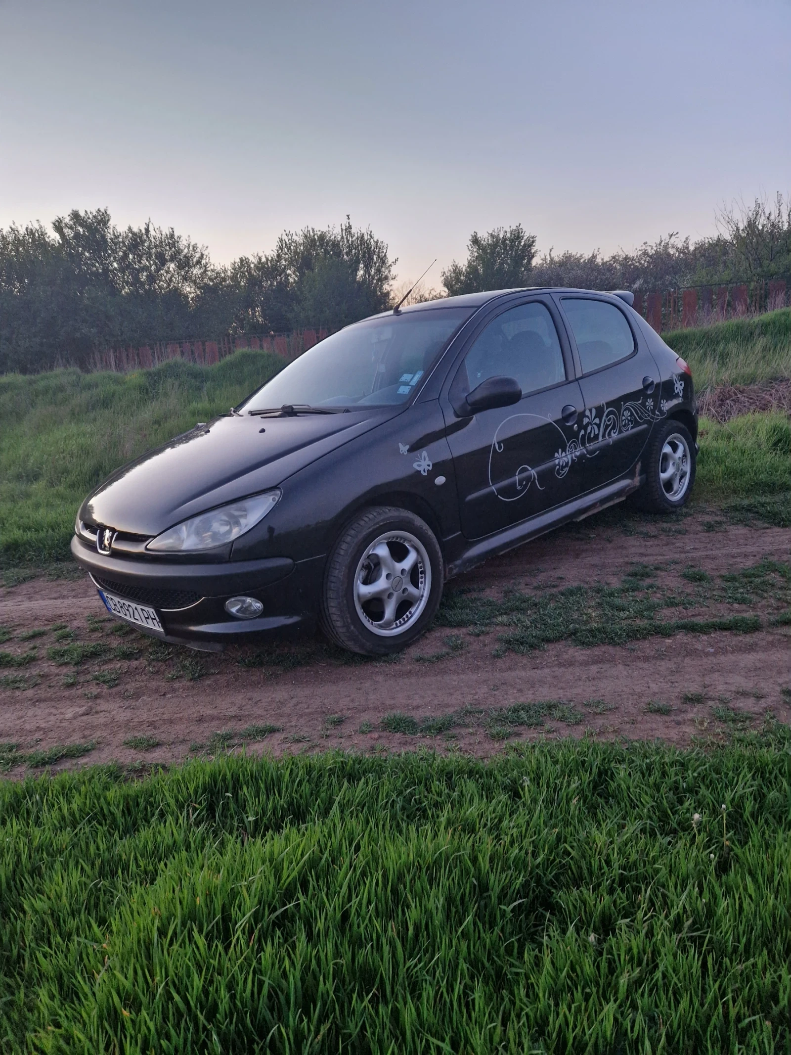 Peugeot 206 1.4 HDi Facelift, снимка 16 - Автомобили и джипове - 54544939