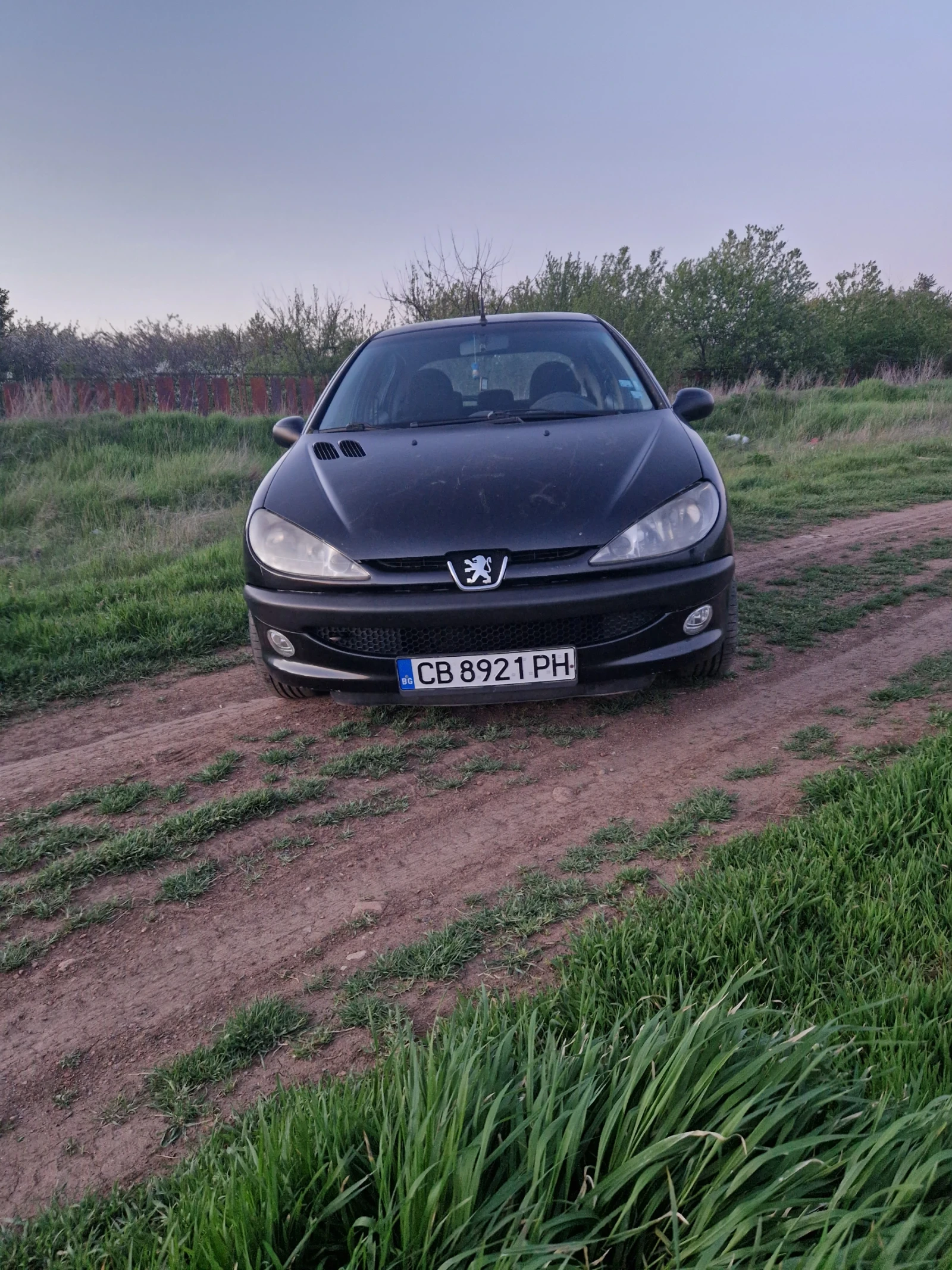 Peugeot 206 1.4 HDi Facelift, снимка 2 - Автомобили и джипове - 54544939