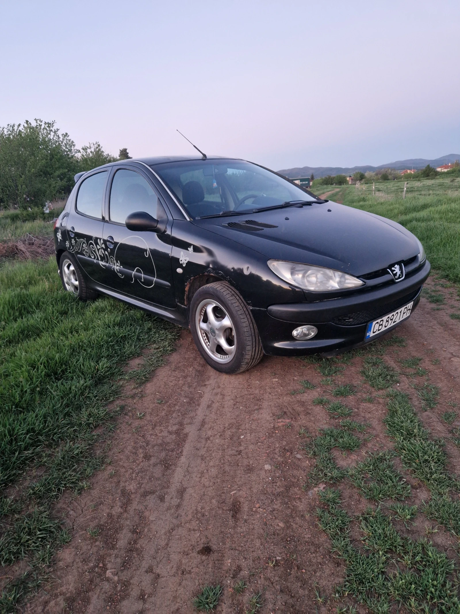 Peugeot 206 1.4 HDi Facelift, снимка 3 - Автомобили и джипове - 54544939