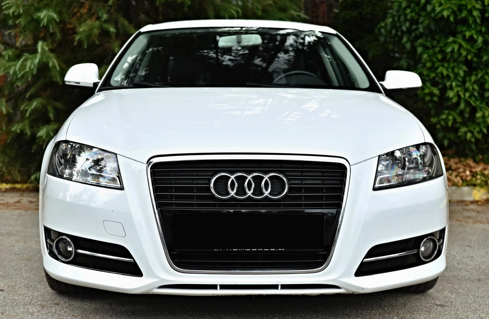 Audi A3 1.6TDI, снимка 2 - Автомобили и джипове - 55423289