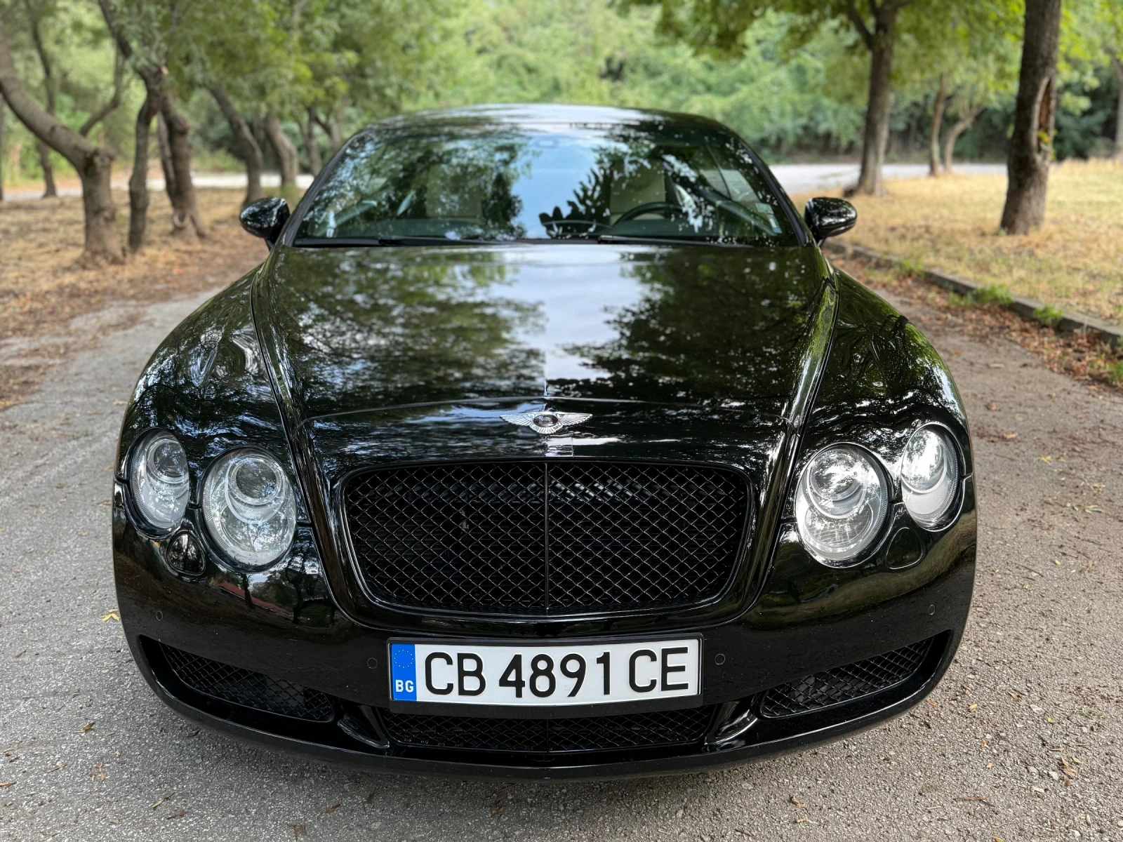 Bentley Continental gt W12 - изображение 2