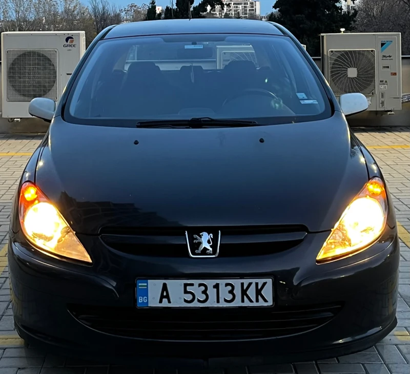 Peugeot 307 2.0HDI/110КС, снимка 2 - Автомобили и джипове - 52816844
