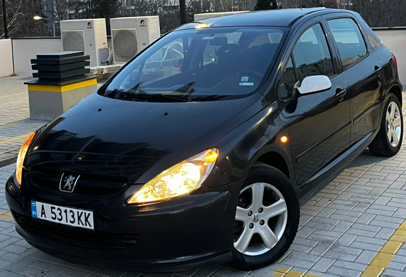 Peugeot 307 2.0HDI/110КС, снимка 3 - Автомобили и джипове - 52816844