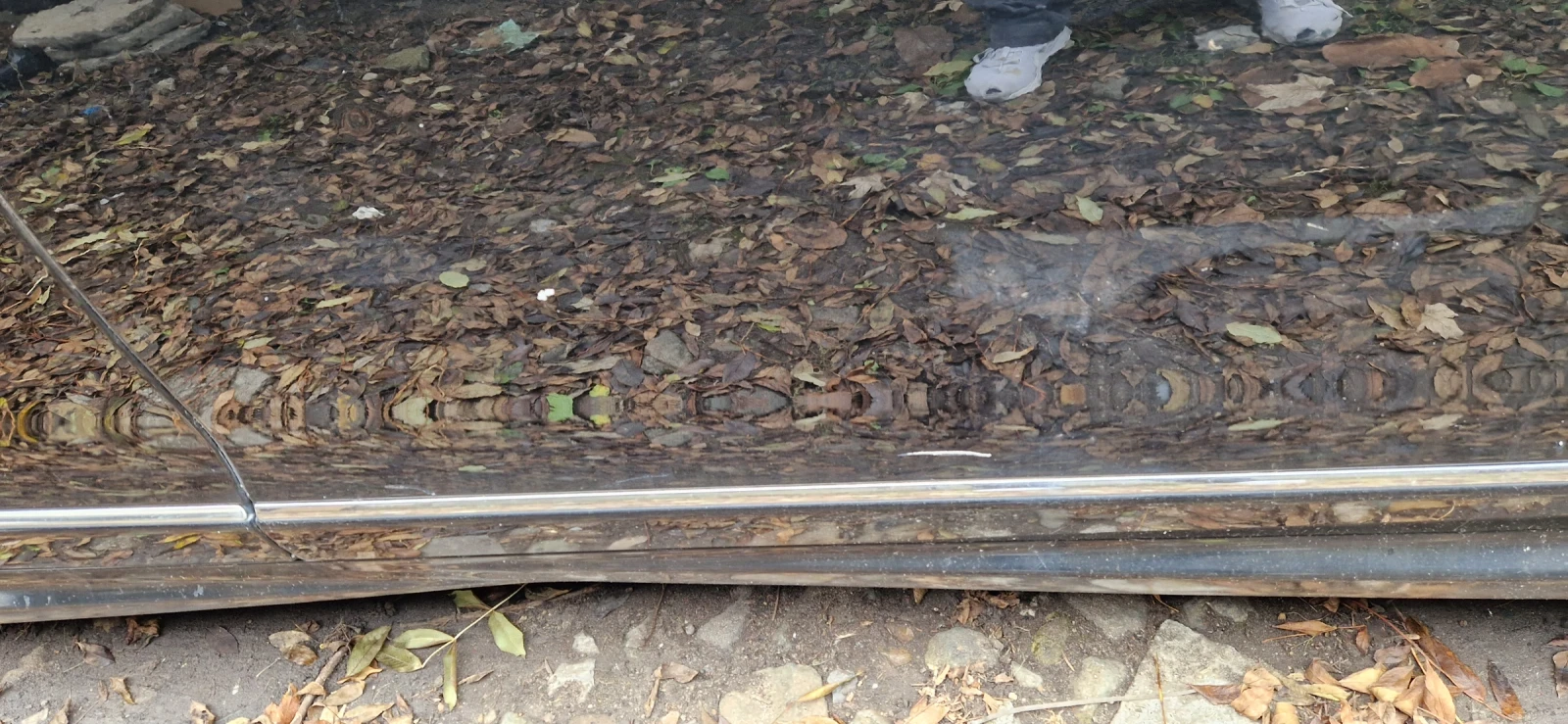 Mercedes-Benz S 320 CDI 4x4 - изображение 3