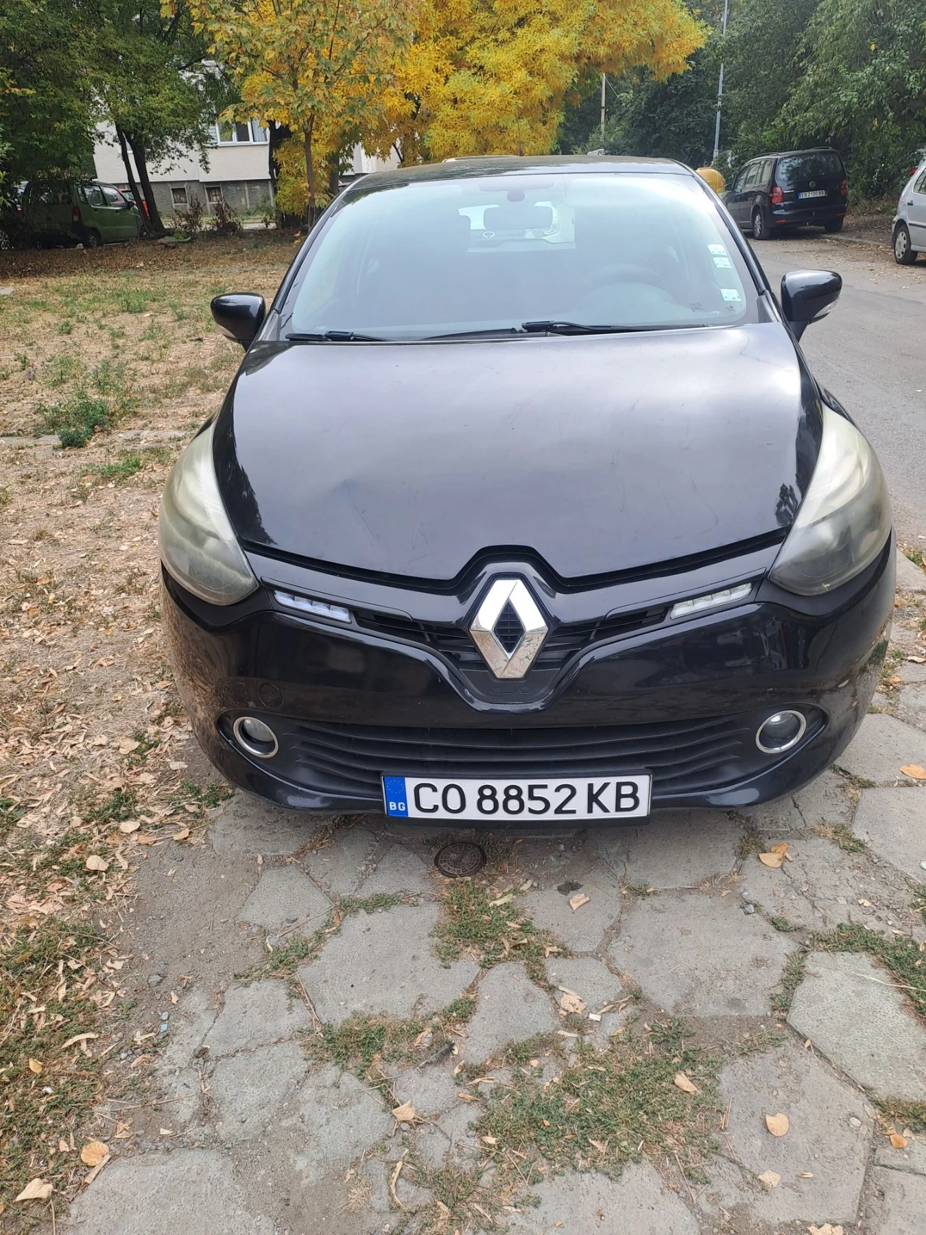Renault Clio Лек