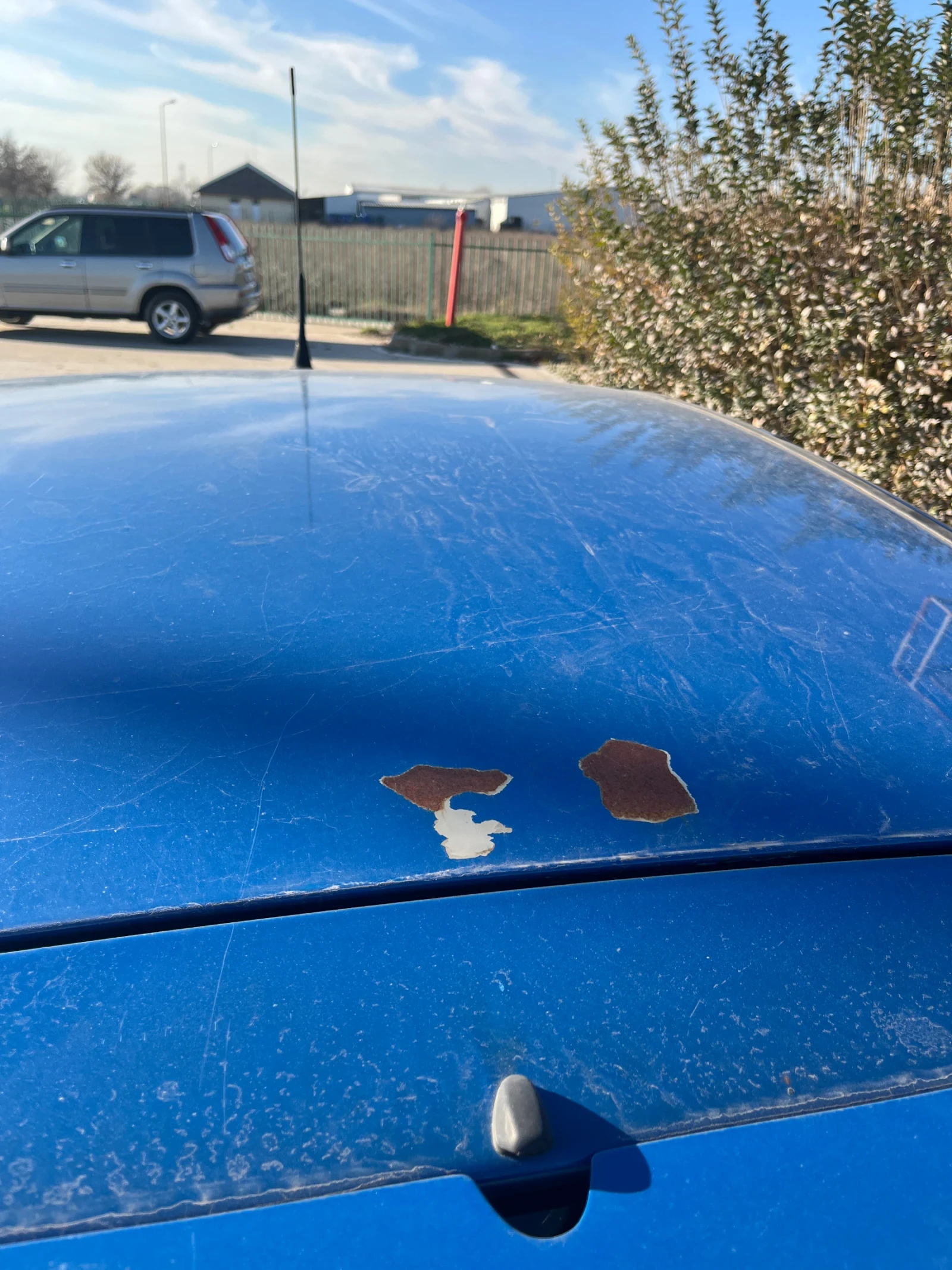 Fiat Punto | Mobile.bg � ����������� 13