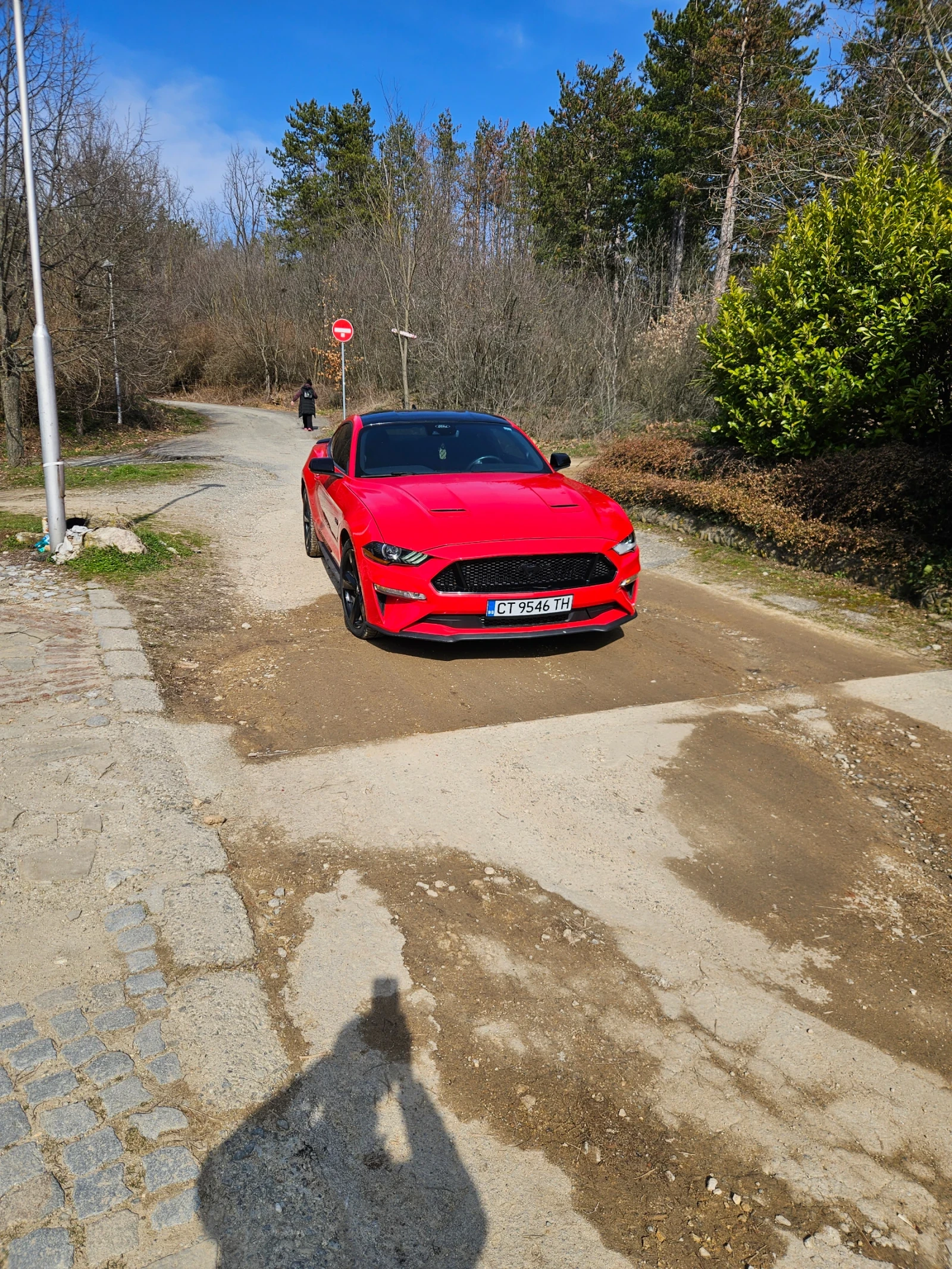 Ford Mustang  - изображение 6