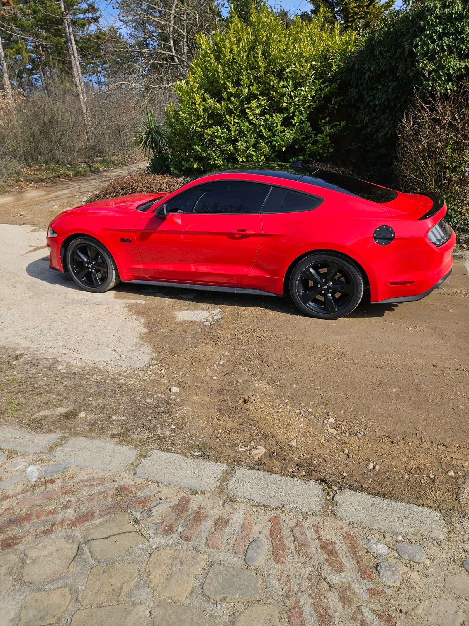 Ford Mustang  - изображение 2