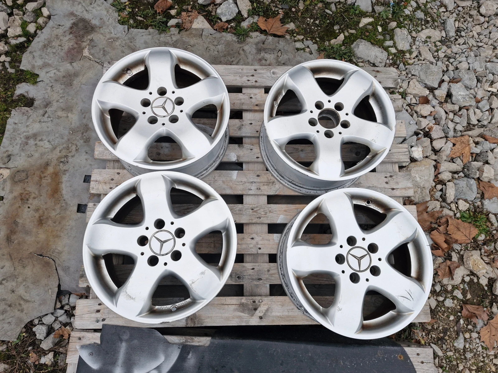 ������ | Mobile.bg � ����������� 5