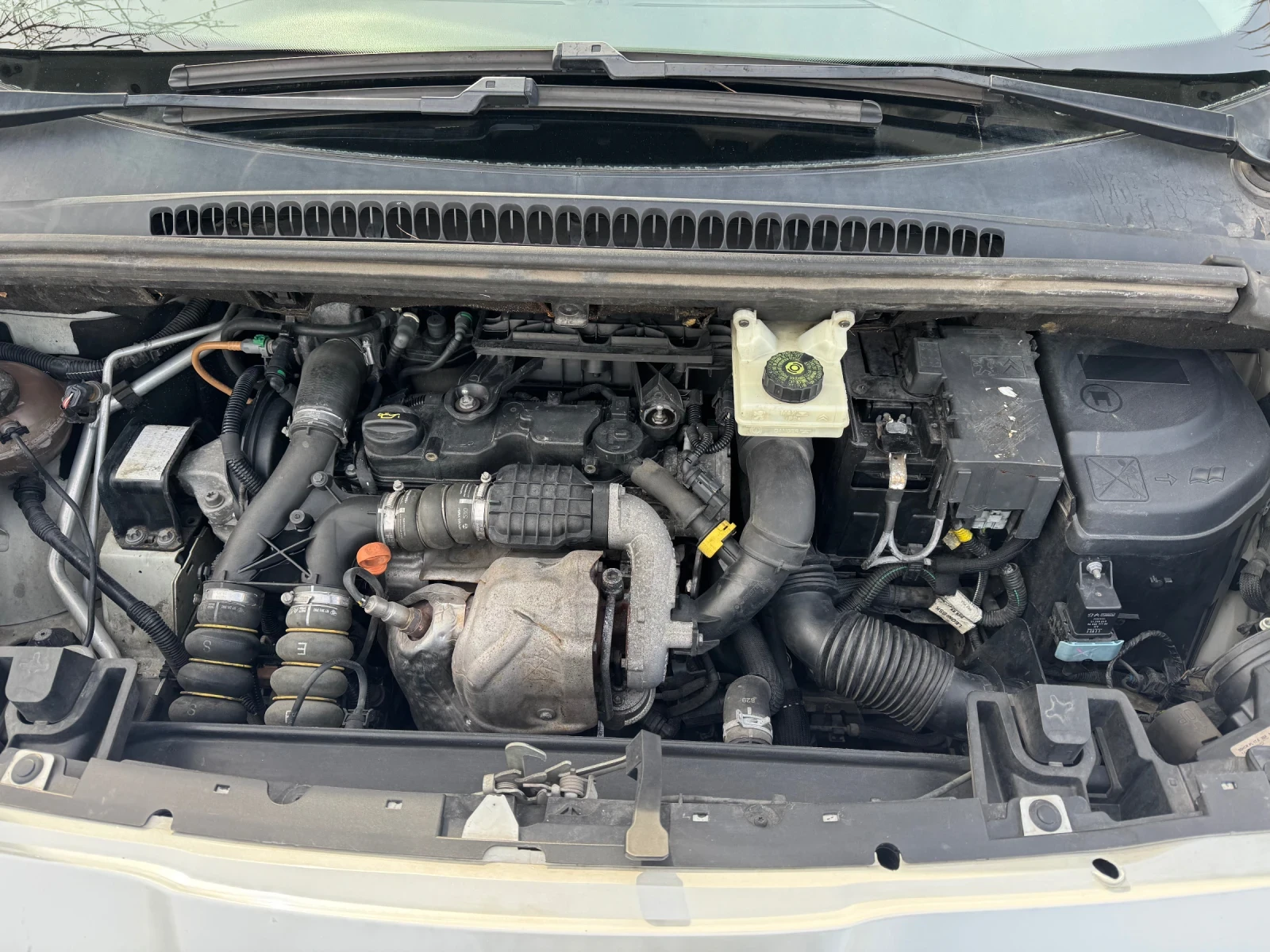 Peugeot 5008 | Mobile.bg � ����������� 14