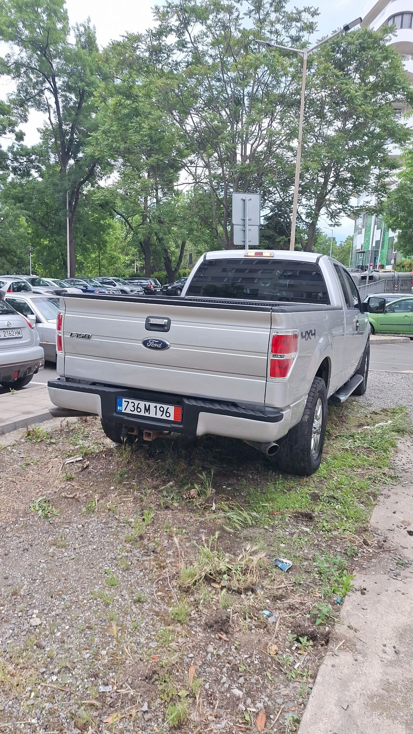 Ford F150 4.6 TRITON  - изображение 6
