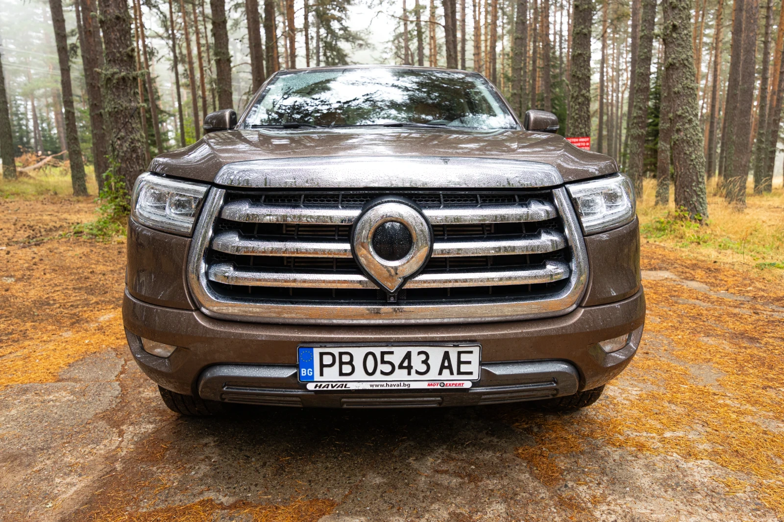 Great Wall Poer Luxury | Mobile.bg � ����������� 9
