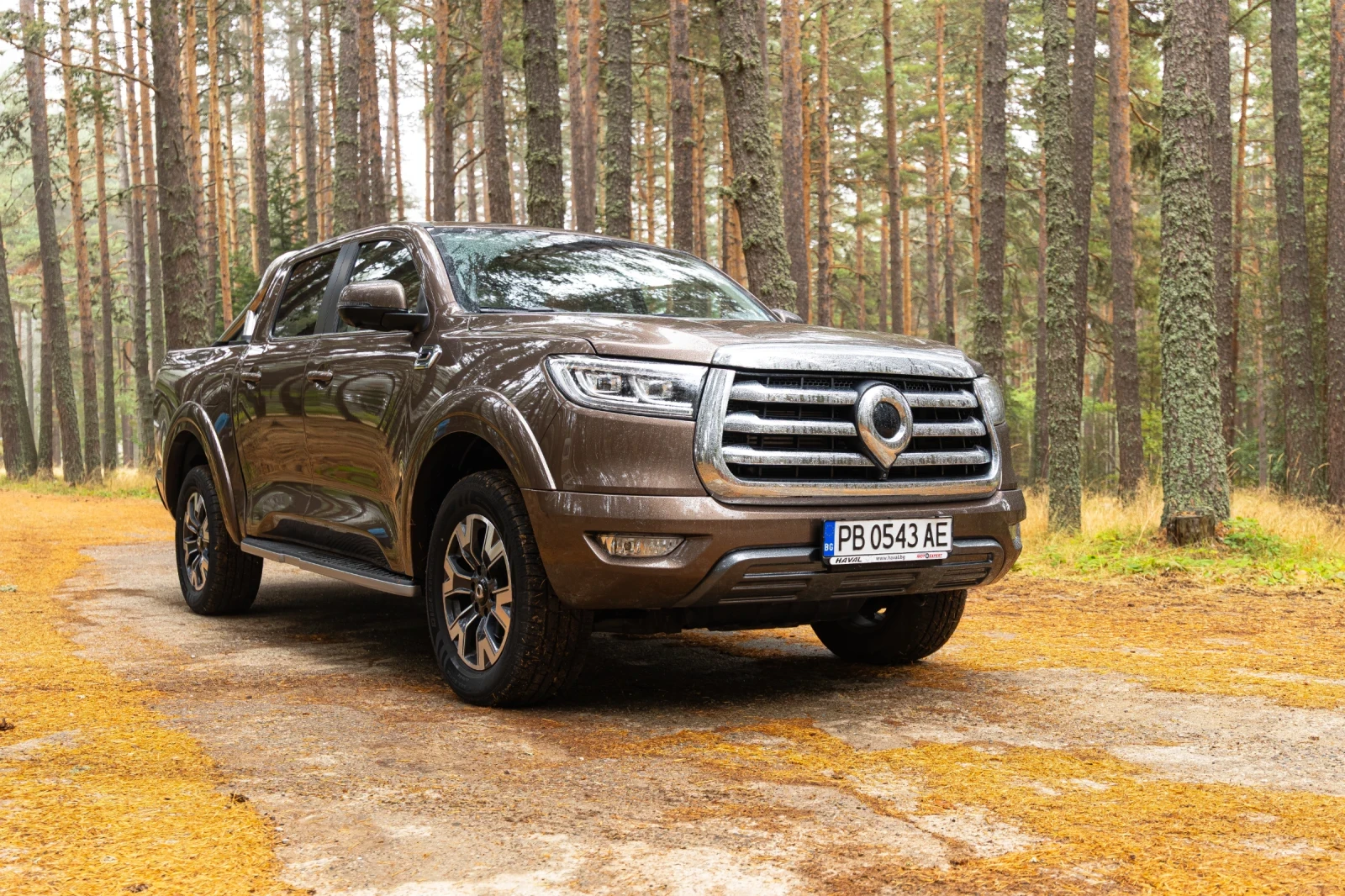 Great Wall Poer Luxury | Mobile.bg � ����������� 7