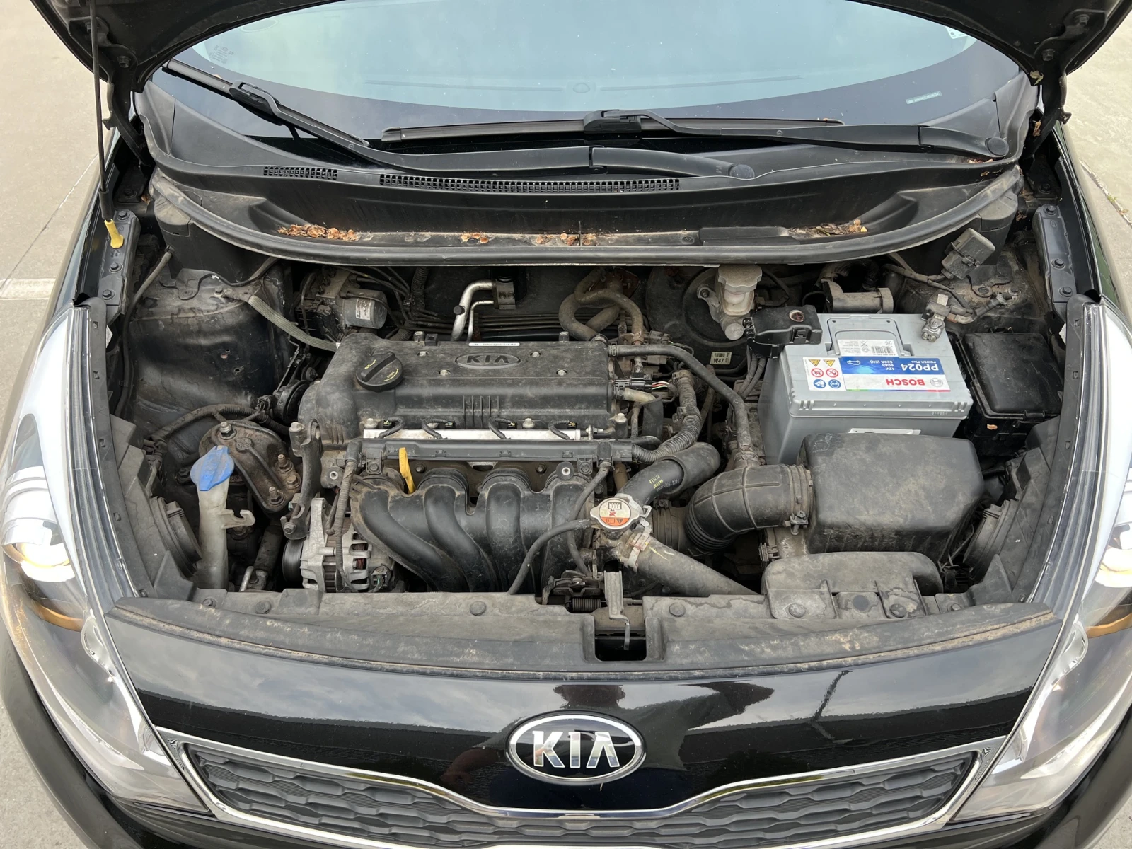 Kia Rio ОТ КИА СОФИЯ, снимка 16 - Автомобили и джипове - 55309525
